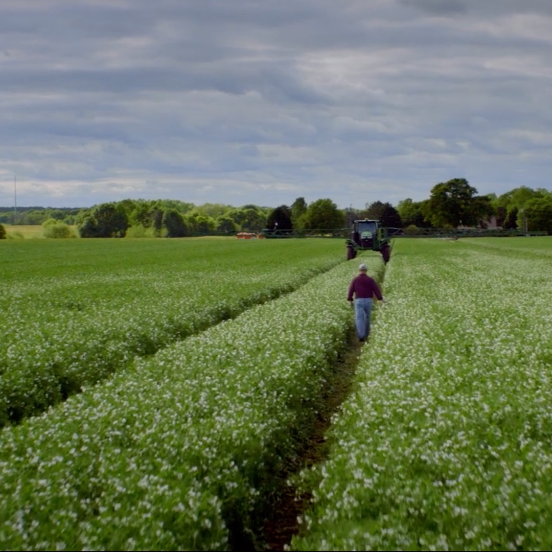 Bayer – Our roots run deep